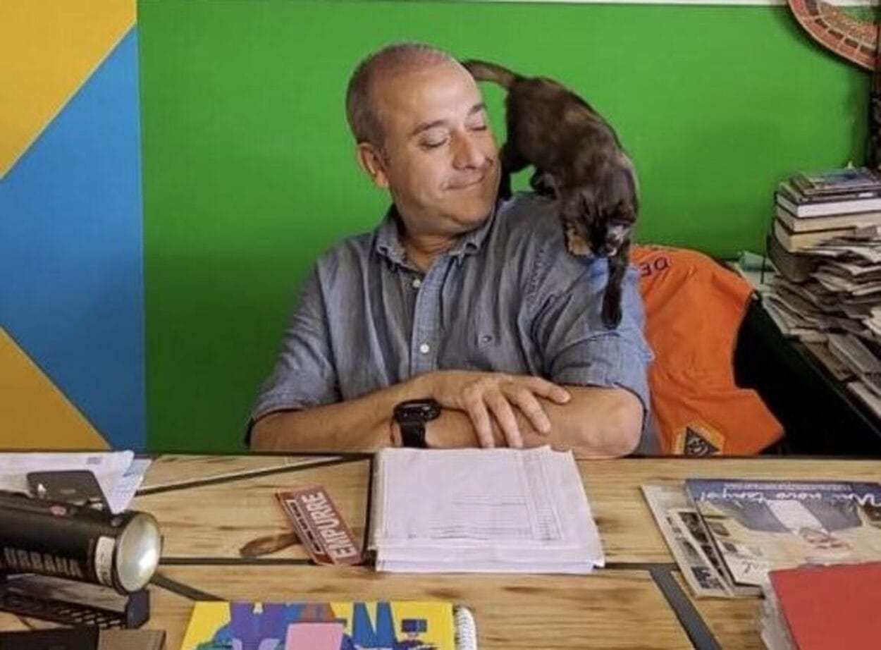 Prefeito de Ribeirão Pires adota gatinha de rua e pet vira xodó no gabinete