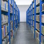 Sarau AfroBiblioBrasileiro celebra o Dia da África em Ribeirão Pires