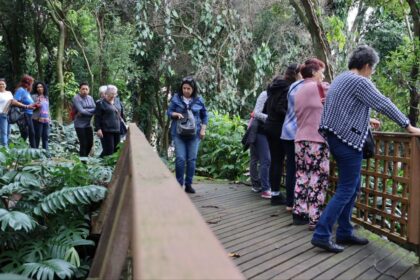 Junho Verde tem agenda com mais de 60 atrações por Santo André