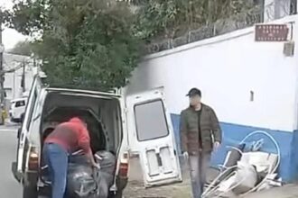 Semasa autua infrator por descarte irregular de resíduos em frente à Estação de Coleta Santo Alberto