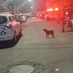  Rapaz é executado em rua da Vila João Ramalho de Santo André