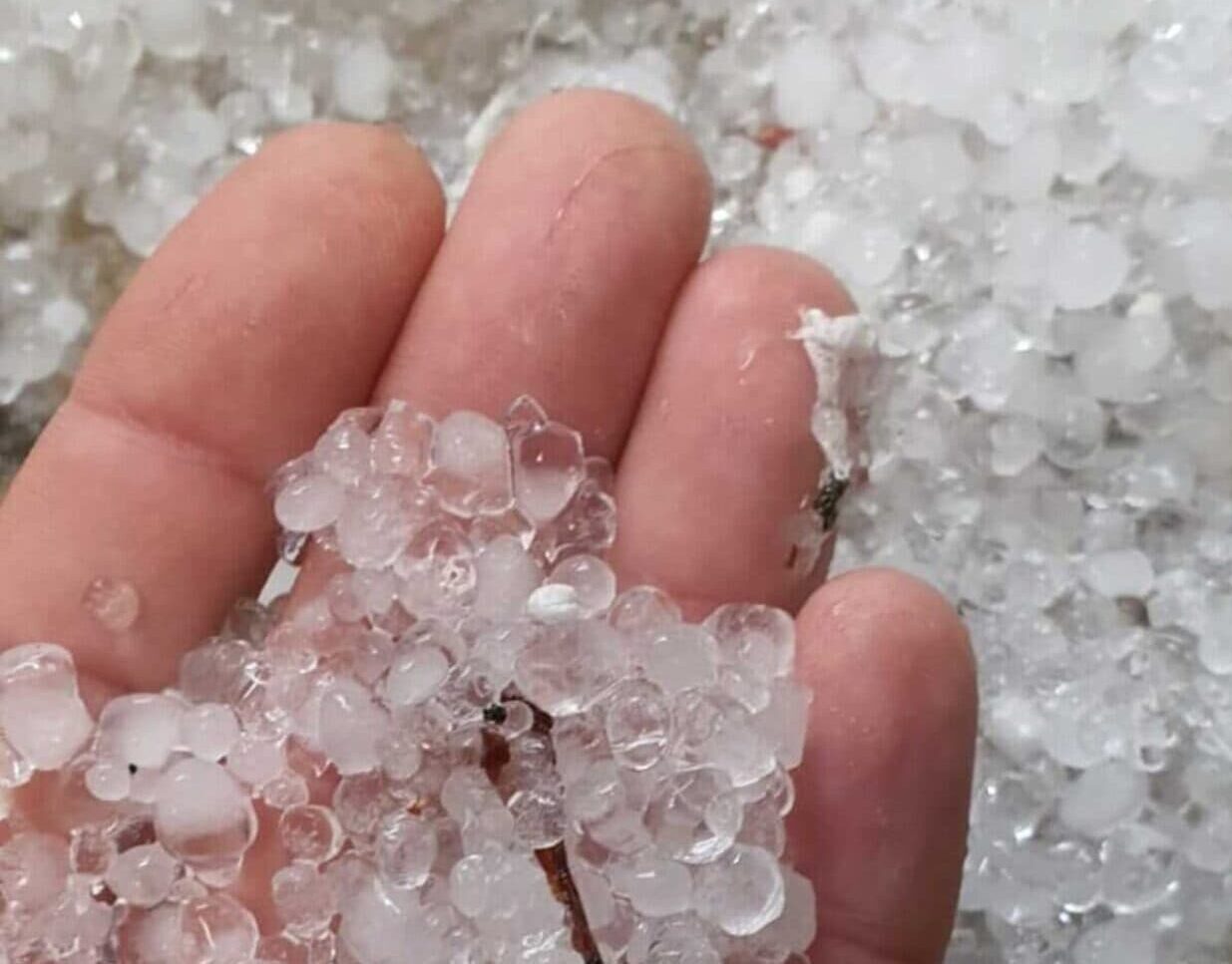 São Bernardo registra chuva de granizo nesta segunda-feira