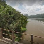 Corpo de homem é localizado em Ribeirão Pires