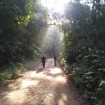 Oficina ensina sobre sinalizações do Caminho do Sal e Caminho da Mata Atlântica