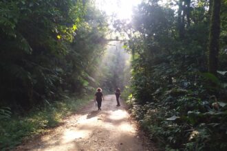 Oficina ensina sobre sinalizações do Caminho do Sal e Caminho da Mata Atlântica