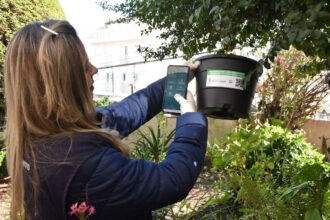 Iniciativa contra a dengue contempla a instalação de mais de 1,2 mil armadilhas inteligentes em bairros estratégicos da cidade