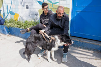 São Caetano realiza castração de cães e gatos no Hospital Veterinário Universitário