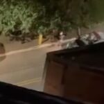 Mulher é sequestrada na frente ao Grand Plaza de Sto.André, mas PM faz o resgate e prende trio