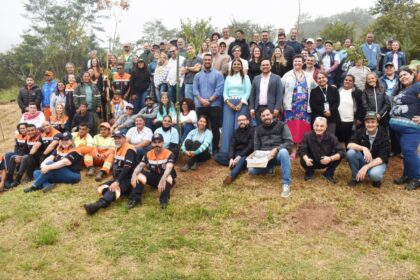 No Dia do Meio Ambiente, Santo André planta mais de 100 mudas de árvores