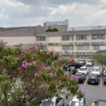 Unidos Pela Vida: Rotary lança campanha de doação de sangue em Santo André