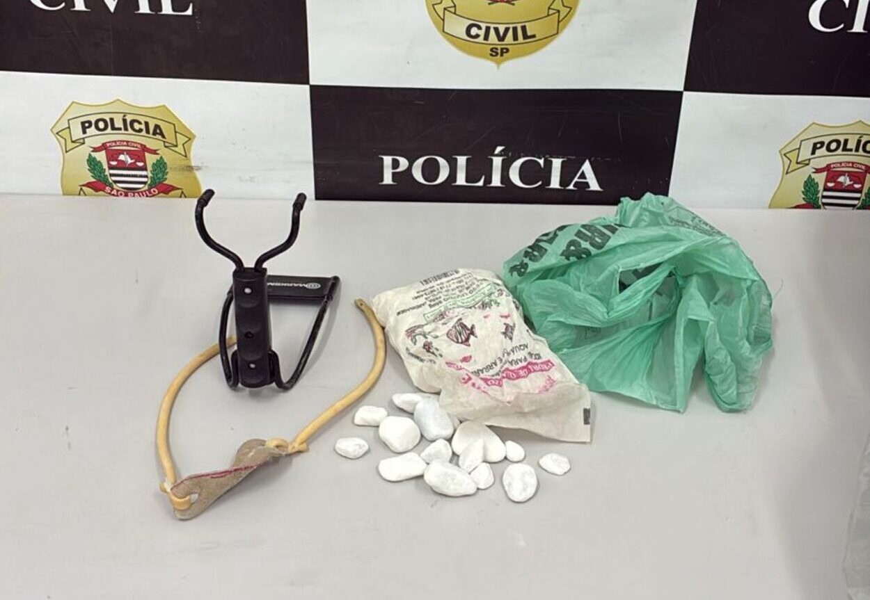 Durante diligências em sua residência e local de trabalho, foram apreendidos um estilingue e pequenas esferas de metal, utilizados nos ataques.