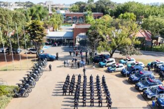 GCM de São Bernardo registra 31 ocorrências durante Operação Força Azul Marinho