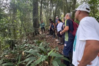 Santo André abre vagas para capacitar condutor de turismo em unidades de conservação