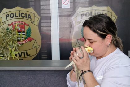 Paixão da vida de Gabriela Lentulo, 39 anos, moradora de São Caetano, a calopsita Romeu Totó foi a protagonista de uma história cheia de reviravoltas
