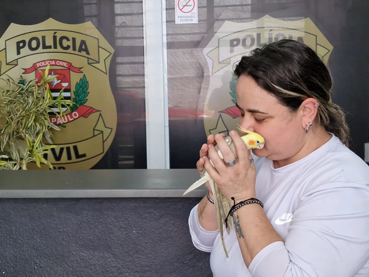 Paixão da vida de Gabriela Lentulo, 39 anos, moradora de São Caetano, a calopsita Romeu Totó foi a protagonista de uma história cheia de reviravoltas 