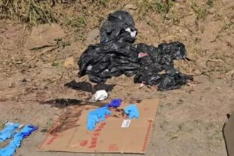 Corpo encontrado em Paranapiacaba dentro de porta-malas de Corolla é de empresário  