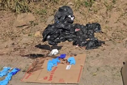 Corpo encontrado em Paranapiacaba dentro de porta-malas de Corolla é de empresário  