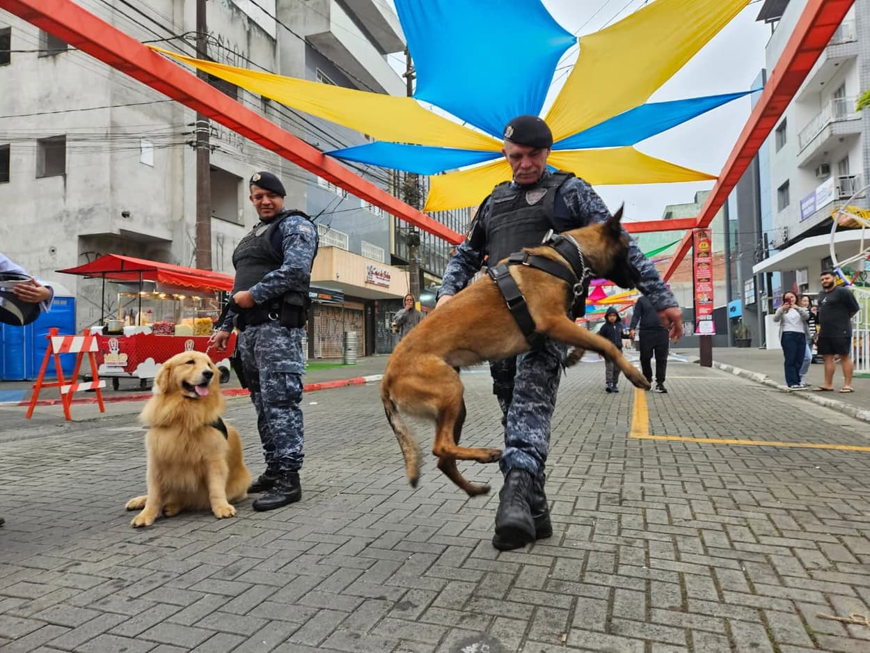 Cães da GCM de Ribeirão Pires também se apresentaram pelas ruas do Centro da Estância - Foto: Gabriel Mazzo (PMETRP)