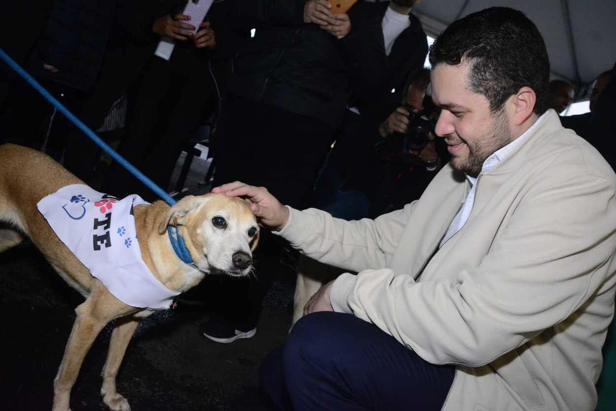 Gilvan lança programa que facilita a adoção e incentiva o voluntariado em prol dos animais