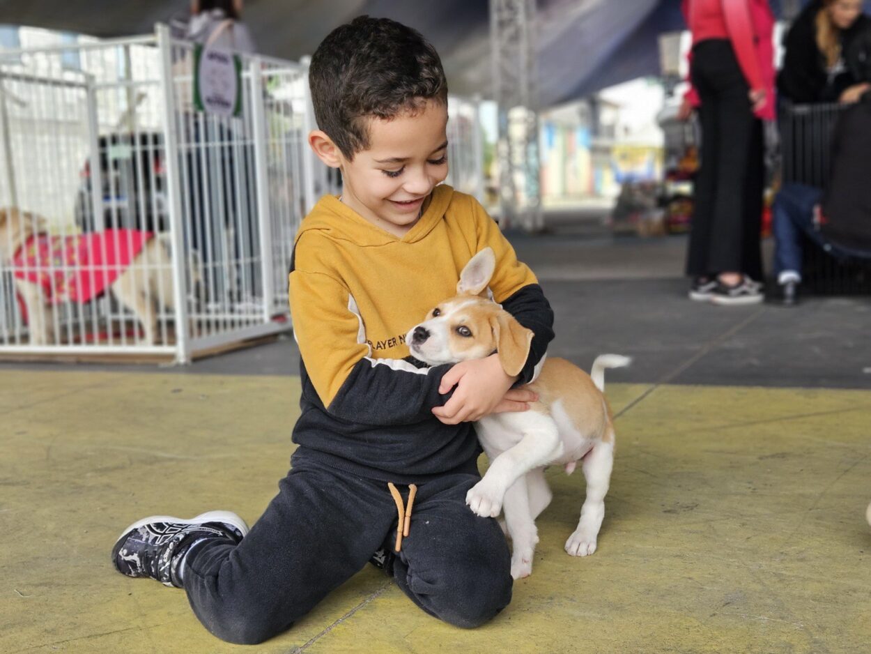Projeto “Tigela Cheia” troca garrafas PET por ração e promove adoção de animais no Festival do Chocolate