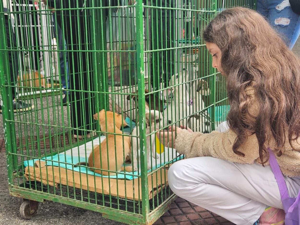Projeto Tigela Cheia recicla meia tonelada de garrafas PET no Festival do Chocolate