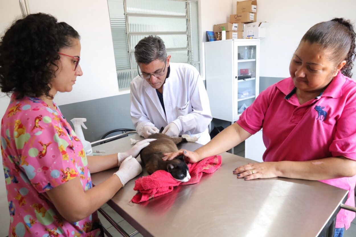 Empresas aderem ao selo de apoio aos direitos dos animais da Prefeitura