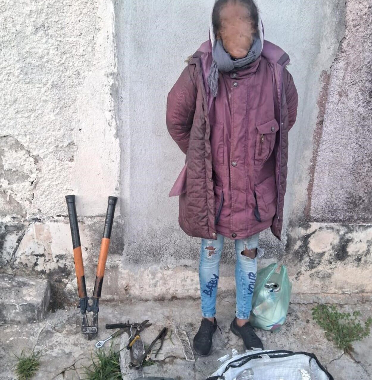 GCM de São Bernardo prende mulher em flagrante por furto de placas em cemitério