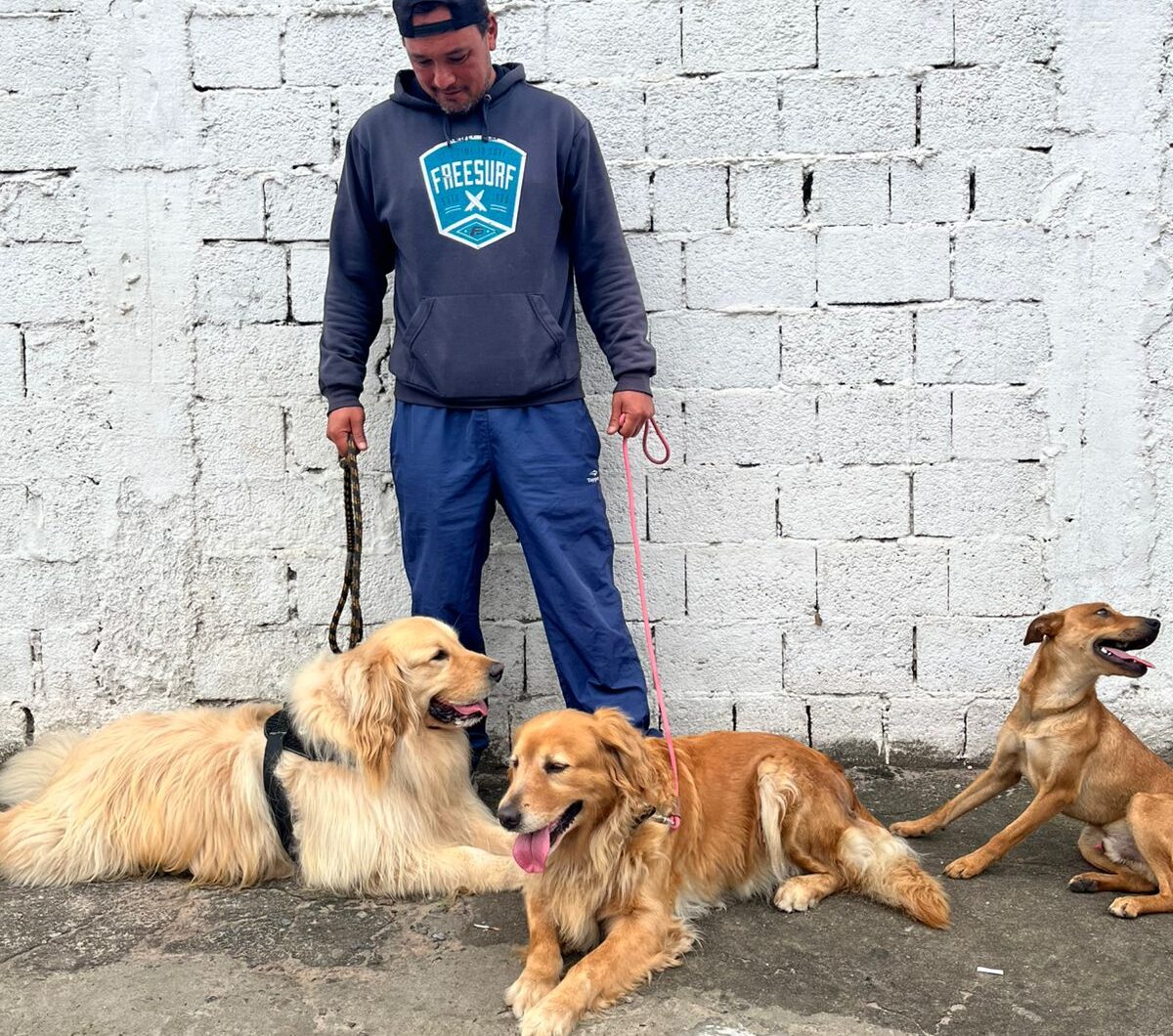 caminhoneiro Alex Ferreira de Paula, 42 anos, levou a dupla de doguinhos Golden Hulck e Manu para um passeio e aproveitou para assistir ao desfile.