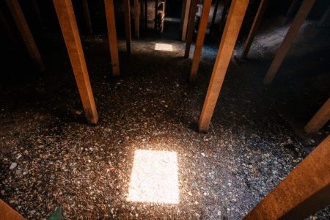 Com planejamento, Prefeitura de São Bernardo dá início a trabalhos de limpeza do Piscinão do Paço