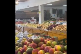 Caminhão terceirizado da Sabesp invade Sacolão em São Bernardo