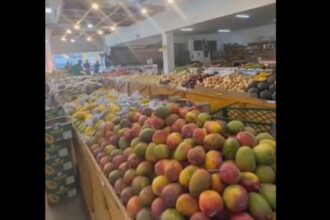 Sabesp demite motorista bêbado e garante ressarcimento integral a Sacolão invadido