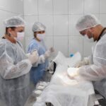 Ribeirão Pires alcança 10 mil castrações gratuitas de animais desde 2021