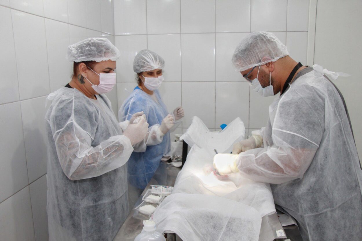 Ribeirão Pires alcança 10 mil castrações gratuitas de animais desde 2021