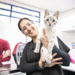Prefeitura de São Caetano e USCS realizam a castração de 124 gatos