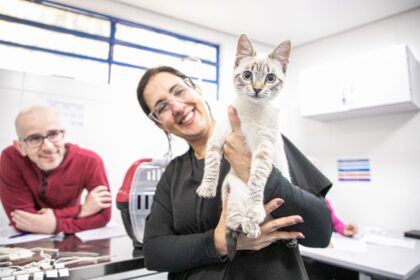 Prefeitura de São Caetano e USCS realizam a castração de 124 gatos