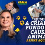 Deputada Carla Morando propõe criação de Fundo Nacional para proteção animal com incentivo fiscal no Imposto de Renda