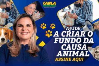 Deputada Carla Morando propõe criação de Fundo Nacional para proteção animal com incentivo fiscal no Imposto de Renda
