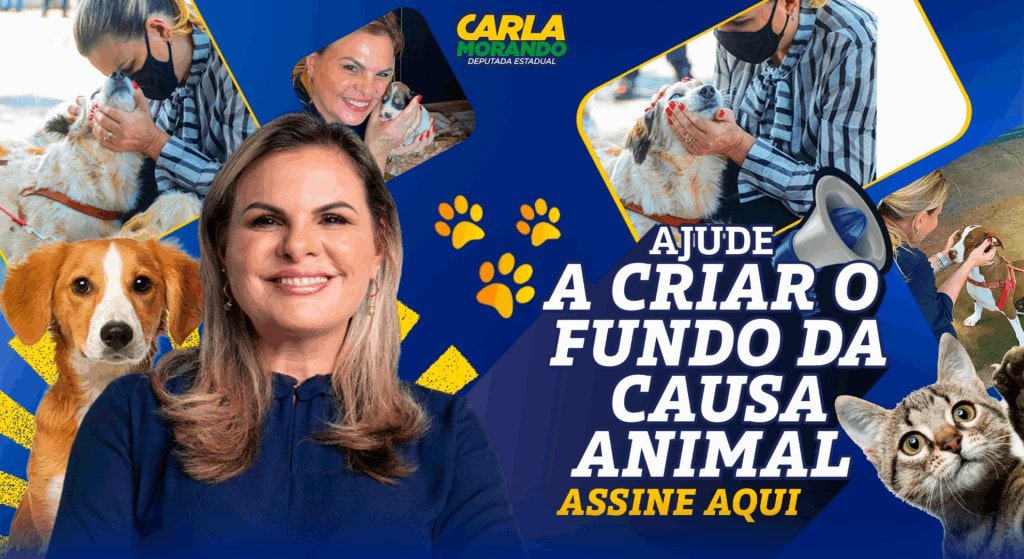 Deputada Carla Morando propõe criação de Fundo Nacional para proteção animal com incentivo fiscal no Imposto de Renda
