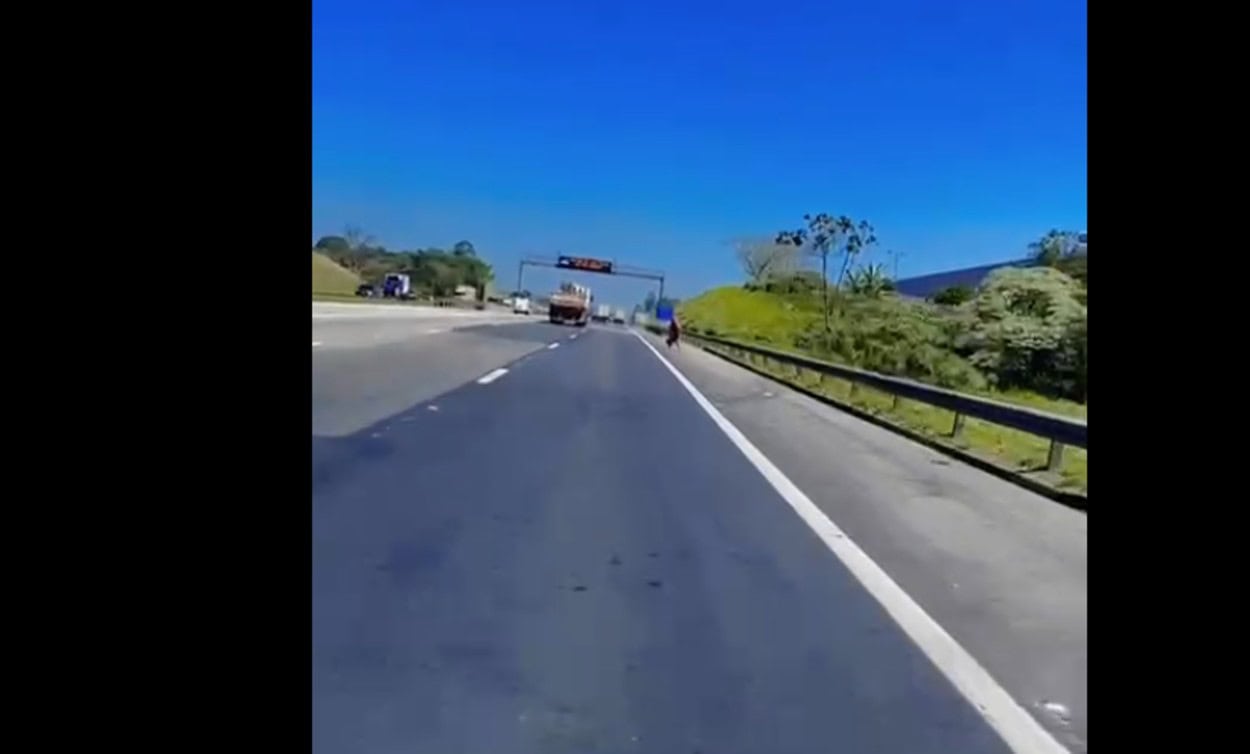Motociclista flagra pedestre no Rodoanel antes de acidente fatal na rodovia