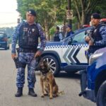 Balanço trimestral da GCM destaca mais de 2,8 mil ocorrências atendidas em São Caetano