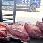 'Sextou' sem picanha: GCM de São Caetano prende homem por furto de peças de picanha