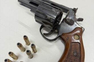 GCM de Ribeirão Pires detém criminoso e apreende arma no Jardim Valentina