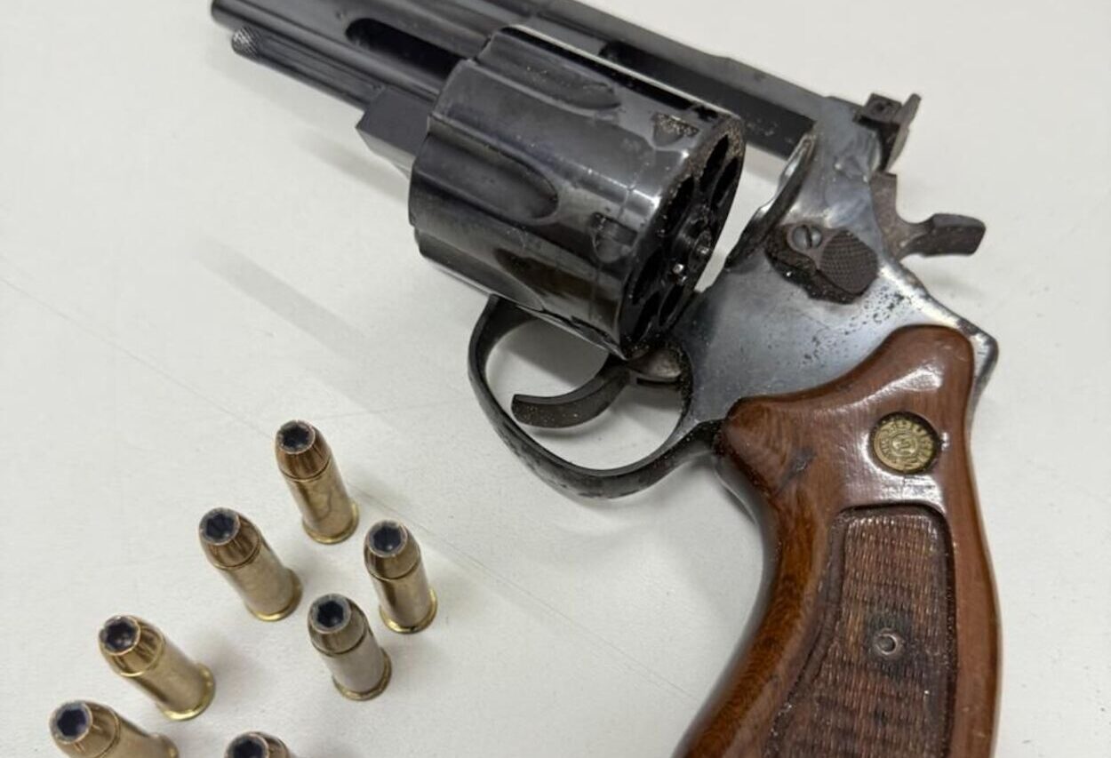 GCM de Ribeirão Pires detém criminoso e apreende arma no Jardim Valentina