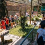 40 anos de história: Zoológico de São Bernardo se torna referência regional em cuidados para preservação da fauna