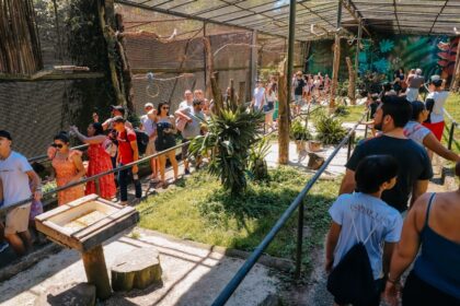 40 anos de história: Zoológico de São Bernardo se torna referência regional em cuidados para preservação da fauna