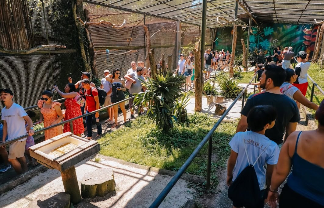 40 anos de história: Zoológico de São Bernardo se torna referência regional em cuidados para preservação da fauna