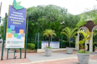 Parque Salvador Arena, em São Bernardo, recebe 2ª edição do Festival da Primavera e das Flores