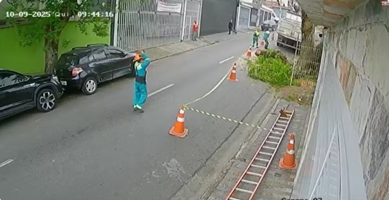 Funcionário morre esmagado por tronco durante poda de árvore em São Bernardo