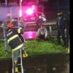 GCM de Diadema resgata cachorrinho que caiu no córrego do Corredor ABC