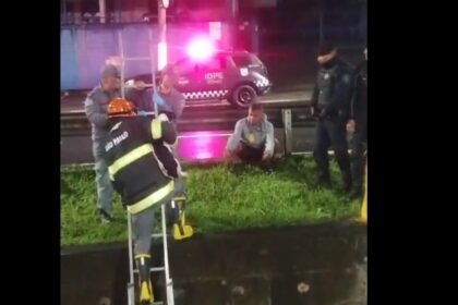 GCM de Diadema resgata cachorrinho que caiu no córrego do Corredor ABC